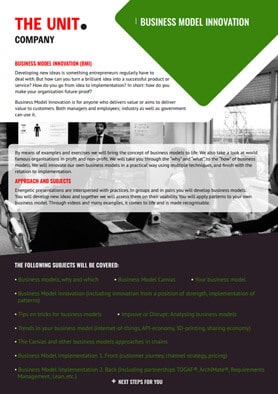 Business Model Innovation flyer - The Unit Company
